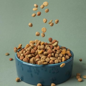 sklad-karmy-dla-zwierzat-domowych