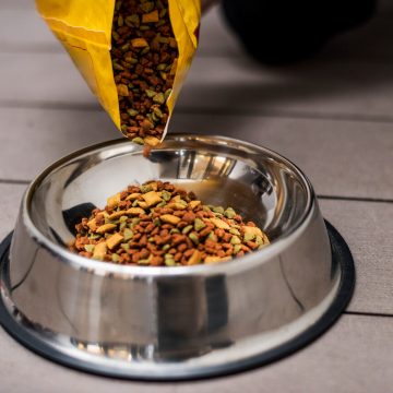 wlewanie-karmy-dla-zwierzat-domowych-do-miski-2